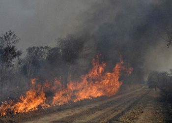 La Gobernación de Santa Cruz envía una brigada de médicos a la zona de los incendios