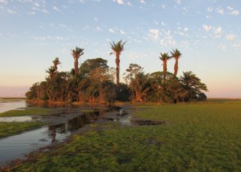 El Grupo de Trabajo para los Llanos de Moxos lanza sitio web con documentos sobre Beni