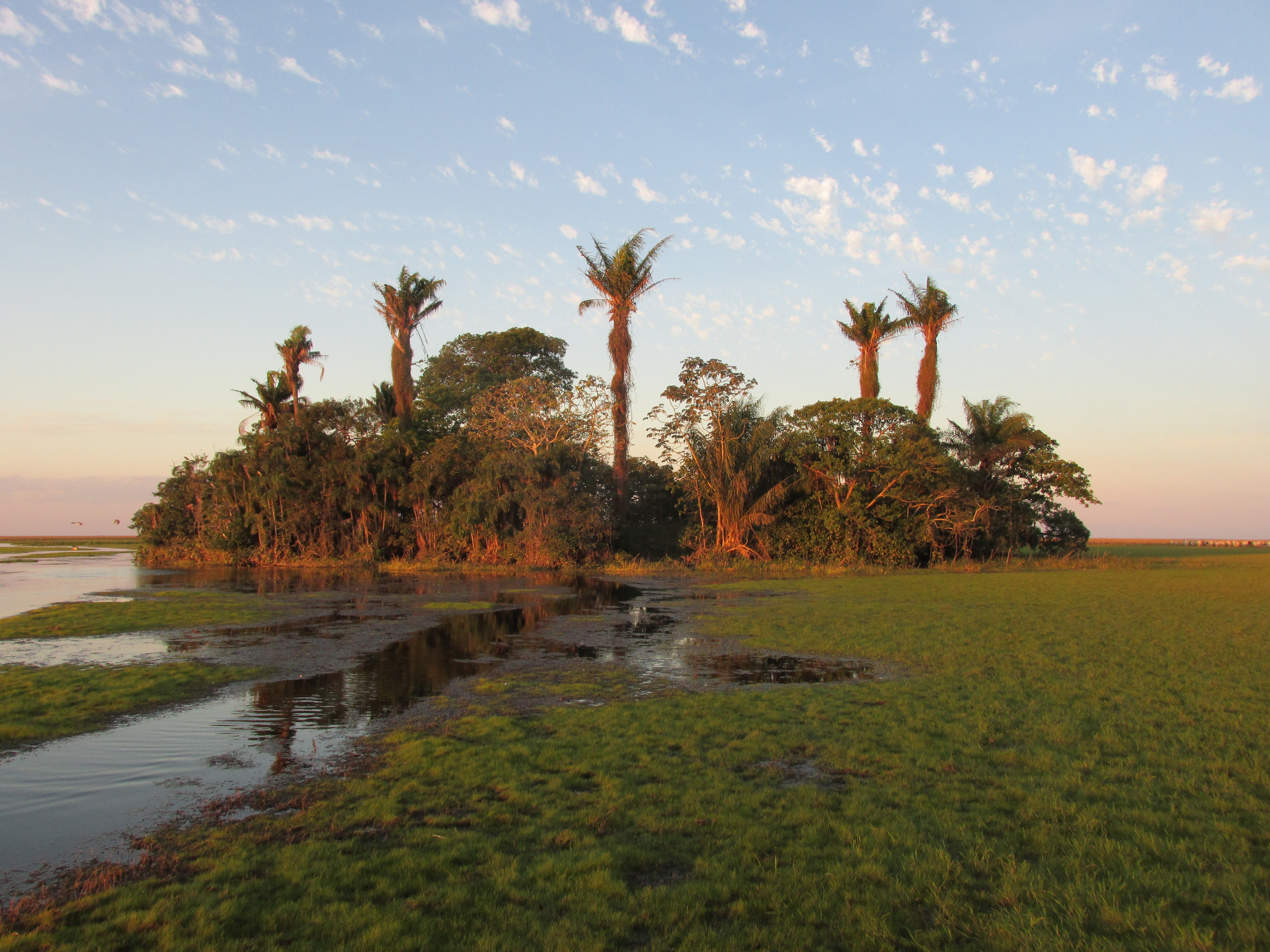 El Grupo de Trabajo para los Llanos de Moxos lanza sitio web con documentos sobre Beni