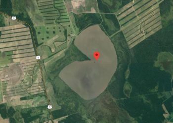 Tierras tiene hasta el 28 de mayo para definir proceso a los Marinkovic por titulación ‘ilegal’