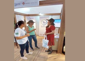 Presencia de YLB en Rondonia.