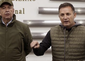 El Canciller anticipa que será complejo y no rápido el proceso de extradición de Murillo y López