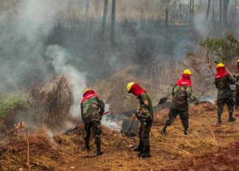 En Santa Cruz, militares inician patrullajes en áreas protegidas para evitar incendios