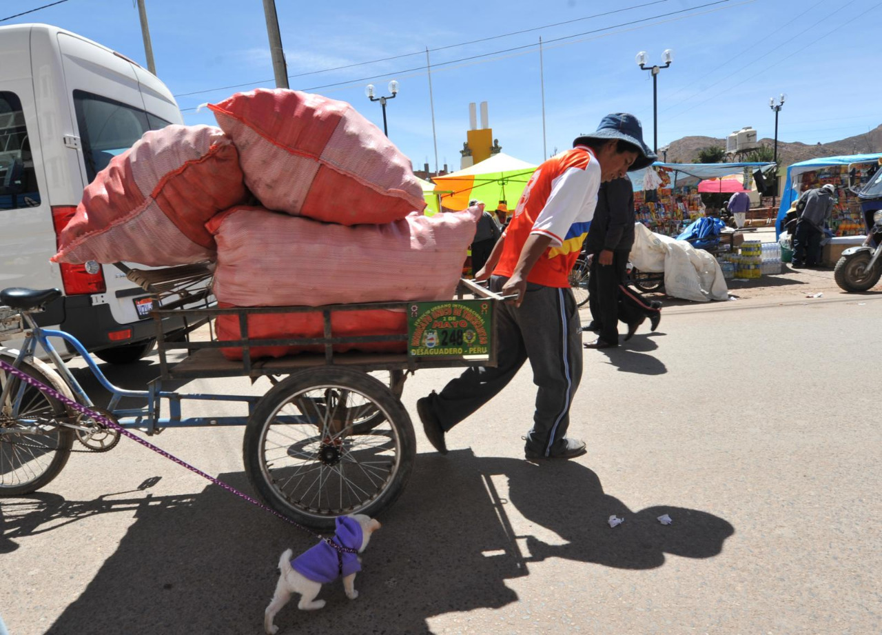 Lucha contra el contrabando agrícola, se incautaron tres camiones con papa peruana