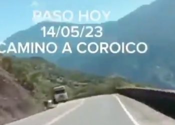 Exigen justicia por el violento abandono de un cachorro en una carretera