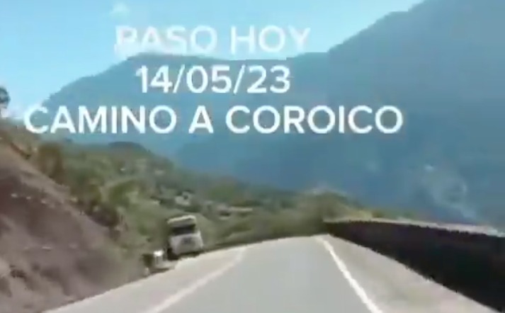 Exigen justicia por el violento abandono de un cachorro en una carretera