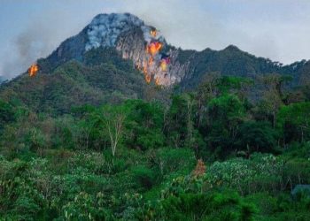 Defensa Civil asegura que el incendio en Pilón Lajas fue ‘completamente controlado’