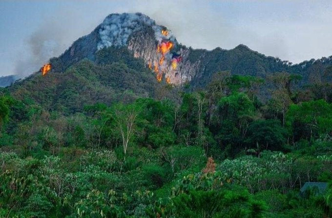 Defensa Civil asegura que el incendio en Pilón Lajas fue ‘completamente controlado’
