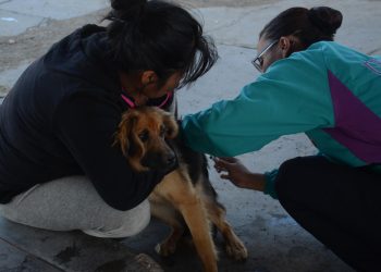 Campaña antirrábica de emergencia llegó a 138.758 mascotas en Cochabamba