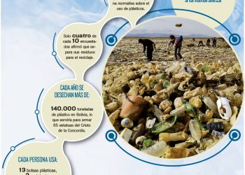 En el país se desecha 142.000 toneladas de plásticos al año