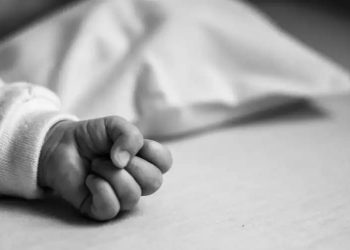 El cadáver de una recién nacida estaba abandonado en medio de matorrales