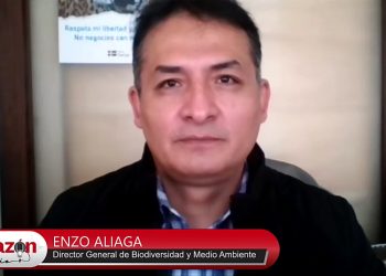 Aliaga advierte ‘ignorancia disfrazada de medicina tradicional’ en el licuado de ranas