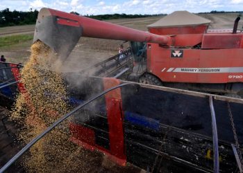 Avanzan los estudios para implementación de plantas de biodiesel y diésel renovable