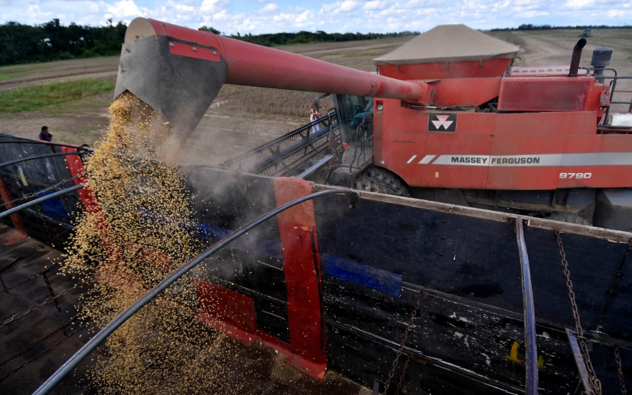 Avanzan los estudios para implementación de plantas de biodiesel y diésel renovable