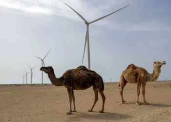 Sahara-Occidental.jpg