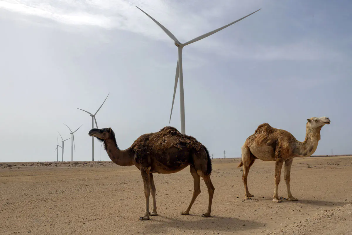 Sahara-Occidental.jpg
