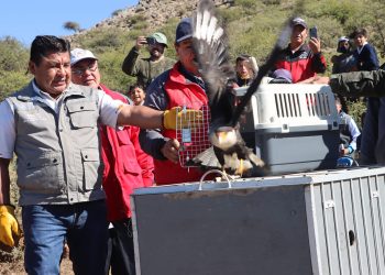 El entonces ministro Juan Santos Cruz en la liberación de un cóndor. Foto: Juan Santos