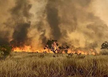 Incendio forestal arrasa parque estatal en Sao Paulo