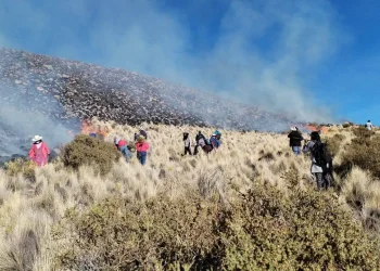 Un incendio forestal afecta al cerro Tunupa