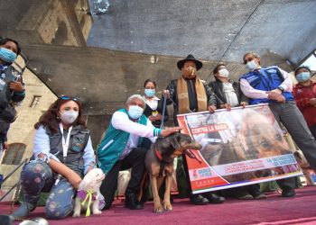 El fin de semana se vacunará a perros y gatos contra la rabia en La Paz y El Alto