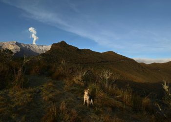 La amenaza del volcán comenzó a finales de marzo. Foto: AFP