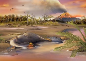 Restos de moléculas orgánicas en núcleos de células de dinosaurios