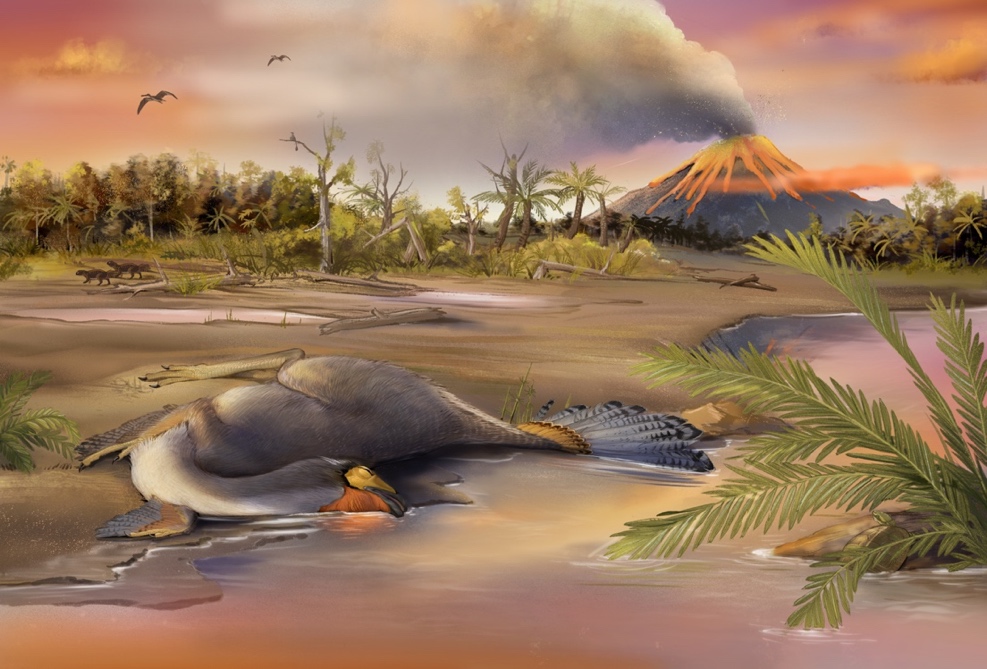 Restos de moléculas orgánicas en núcleos de células de dinosaurios
