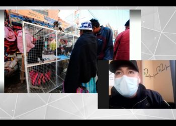 Pofoma afirma que venta de animales persiste en La Paz y se extiende a más ferias