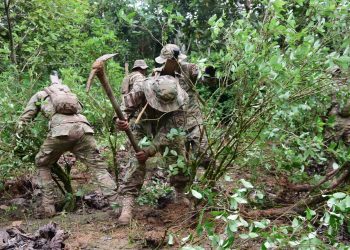 Desde abril fueron erradicadas 3.262 hectáreas de coca de una meta de 9.000