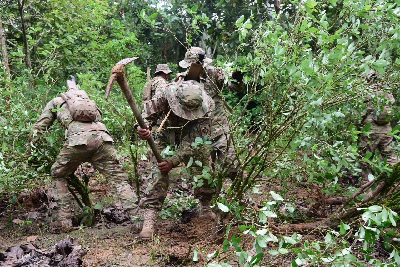 Desde abril fueron erradicadas 3.262 hectáreas de coca de una meta de 9.000