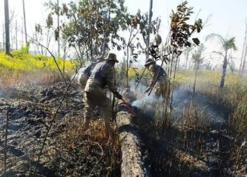 Militares logran controlar un incendio forestal en Riberalta