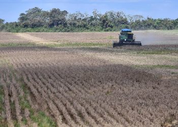 INRA: Se invirtió $us 244,1 millones en titulación de tierras en los últimos 15 años