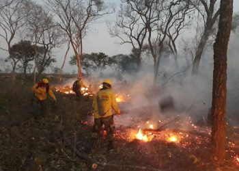 Defensa Civil ya tiene identificados a los autores de los incendios en la Chiquitania
