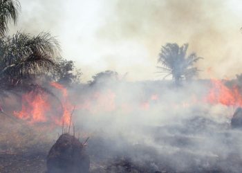 El Gobierno ‘reajustará’ el plan de control de los incendios forestales