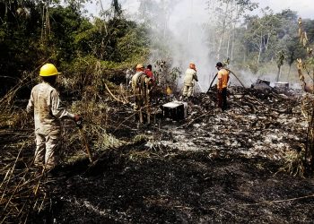 Tres incendios persisten en Santa Cruz y hay un centro de animales silvestres en riesgo