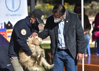 Arce insta a la población a ‘tener consideración’ con los animales de la calle