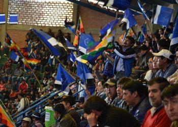 Este lunes, el MAS presentará ante el Tribunal Electoral su nuevo estatuto