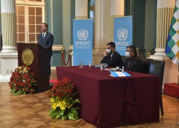La UNODC registra un aumento del 15% de cultivos de coca entre 2019 y 2020