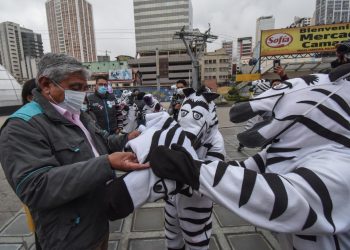 La Alcaldía de La Paz reactiva el programa ‘Cebra por un Día’
