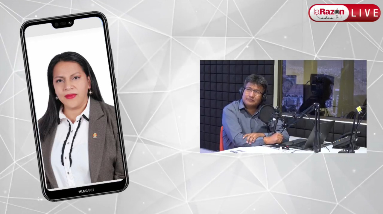 Senadora de CC afirma que la Ley 1407 se basa en el extractivismo y que endeudará aún más al país