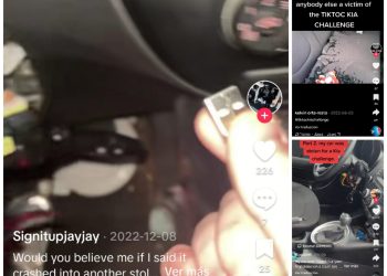 TikTok Hyundai Kia