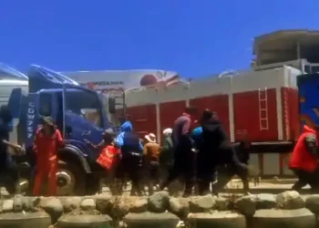contrabandistas