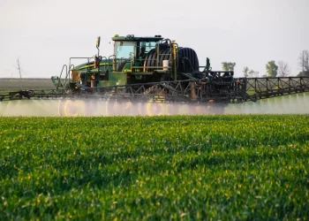 Sector agropecuario plantea fortalecer la productividad con innovación