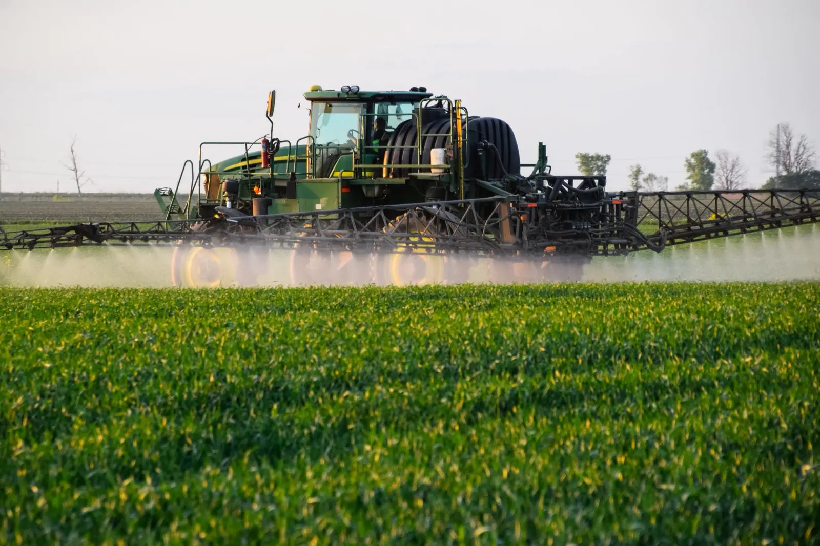 Sector agropecuario plantea fortalecer la productividad con innovación