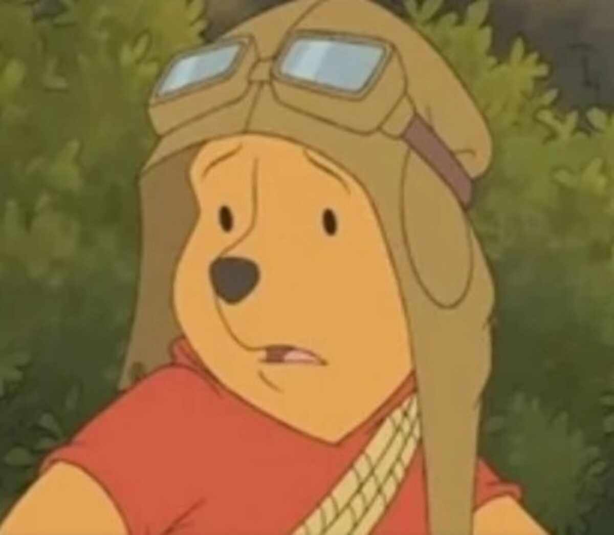 Winnie the Pooh tiroteo EEUU