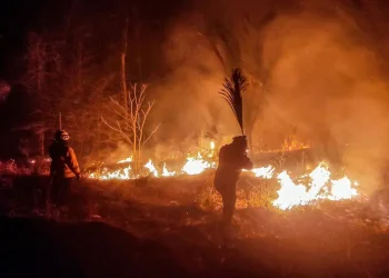 Incendios forestales, elecciones y gobernanza ambiental