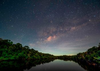 amazonia_brasilena.jpg