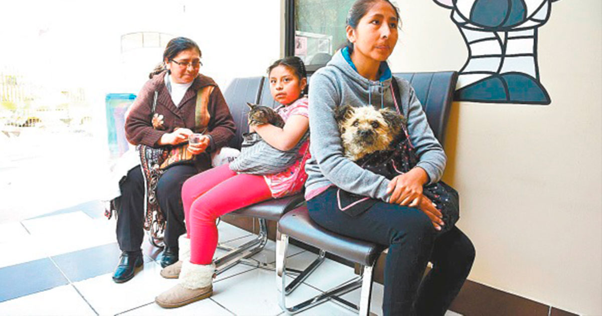 Las cirugías serán en la Casa de la Mascota de La Paz.