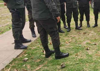 ataracadores.jpg