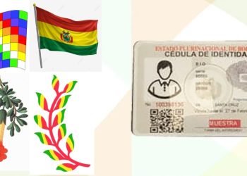 A través del Decreto Supremo 4924, el gobierno del presidente Luis Arce decidió modernizar y actualizar la cédula de identidad.